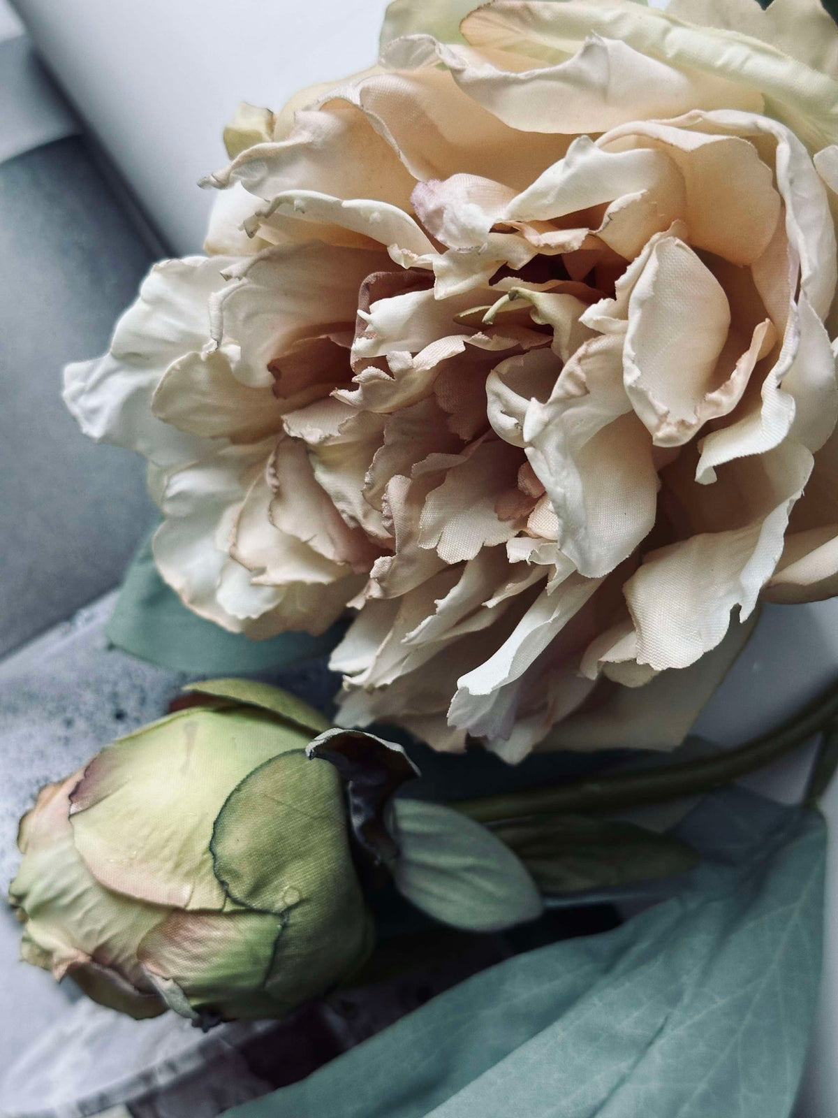 Blomst Pæon Creme
