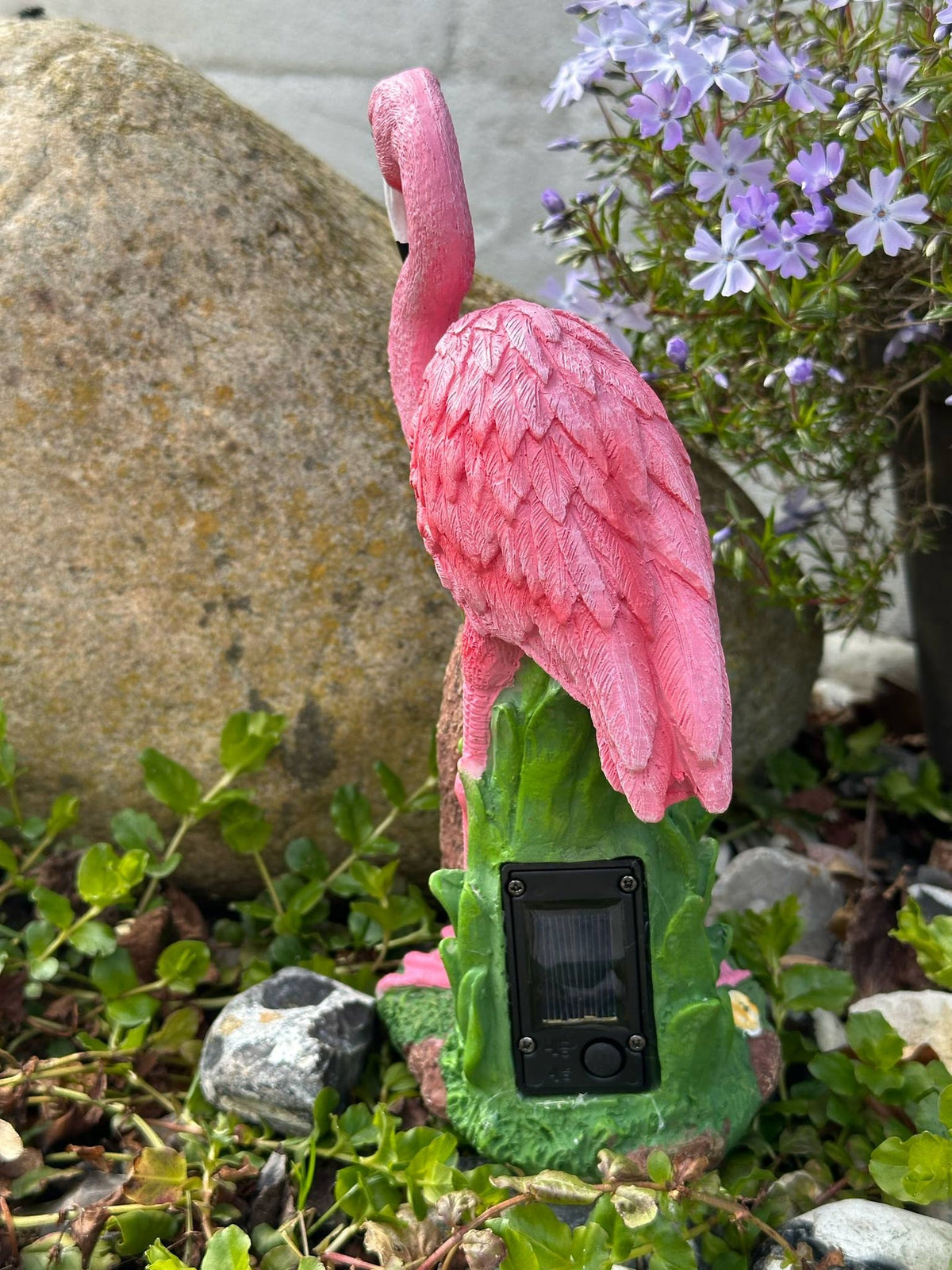 Flamingo med solar