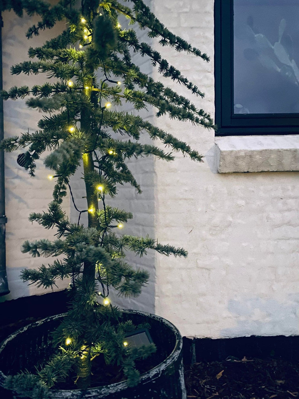 Lyskæde med solceller - Ekstra kraftig med 100 led lys - VIAMAJA.DK