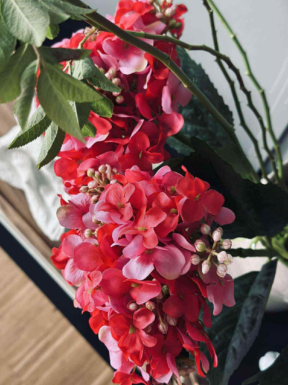 Hortensia Pink