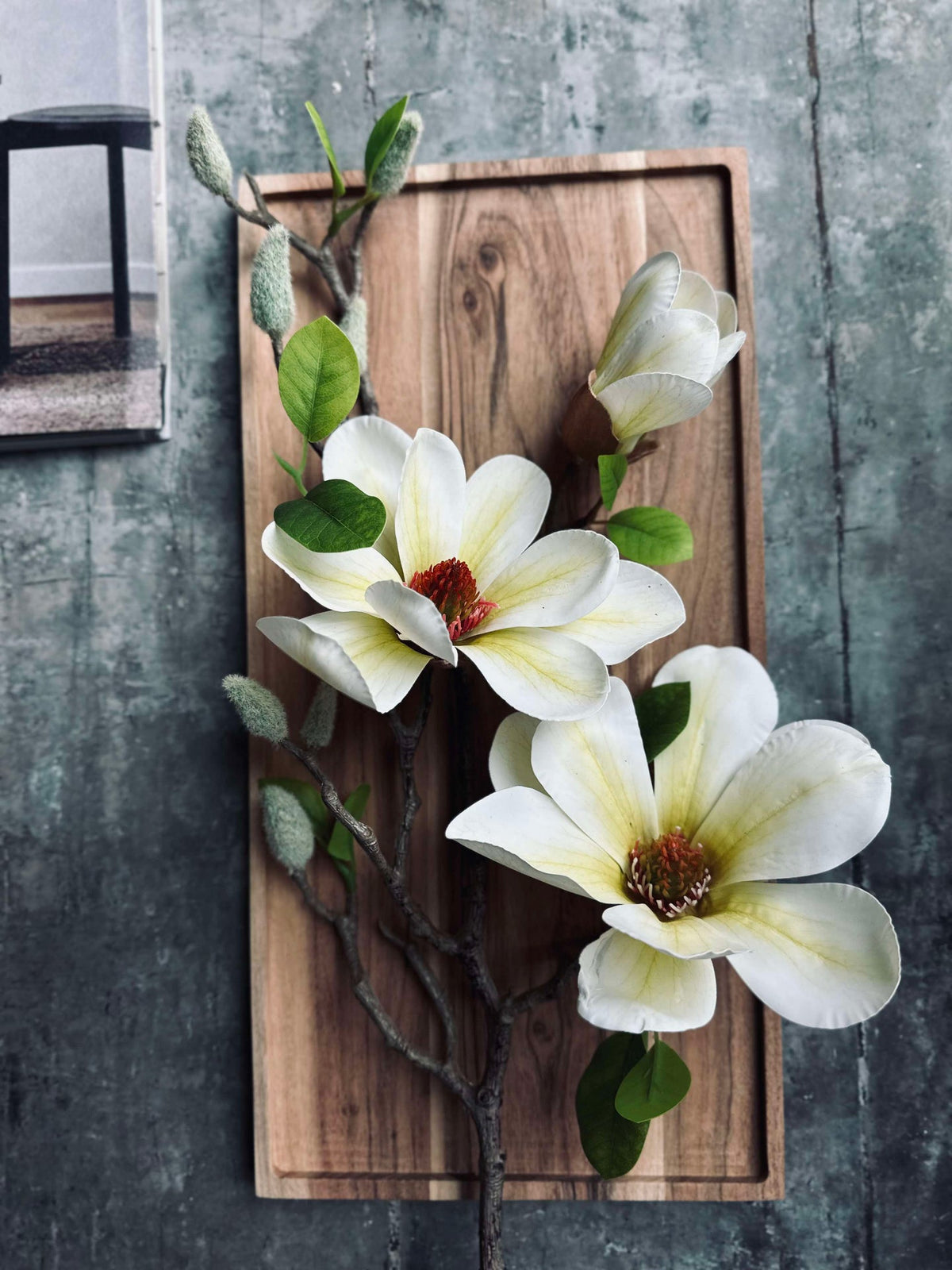 Blomst Magnolia - Hvit