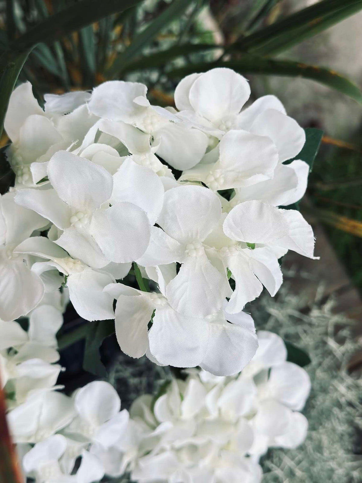 Hortensia med solceller - Hvit