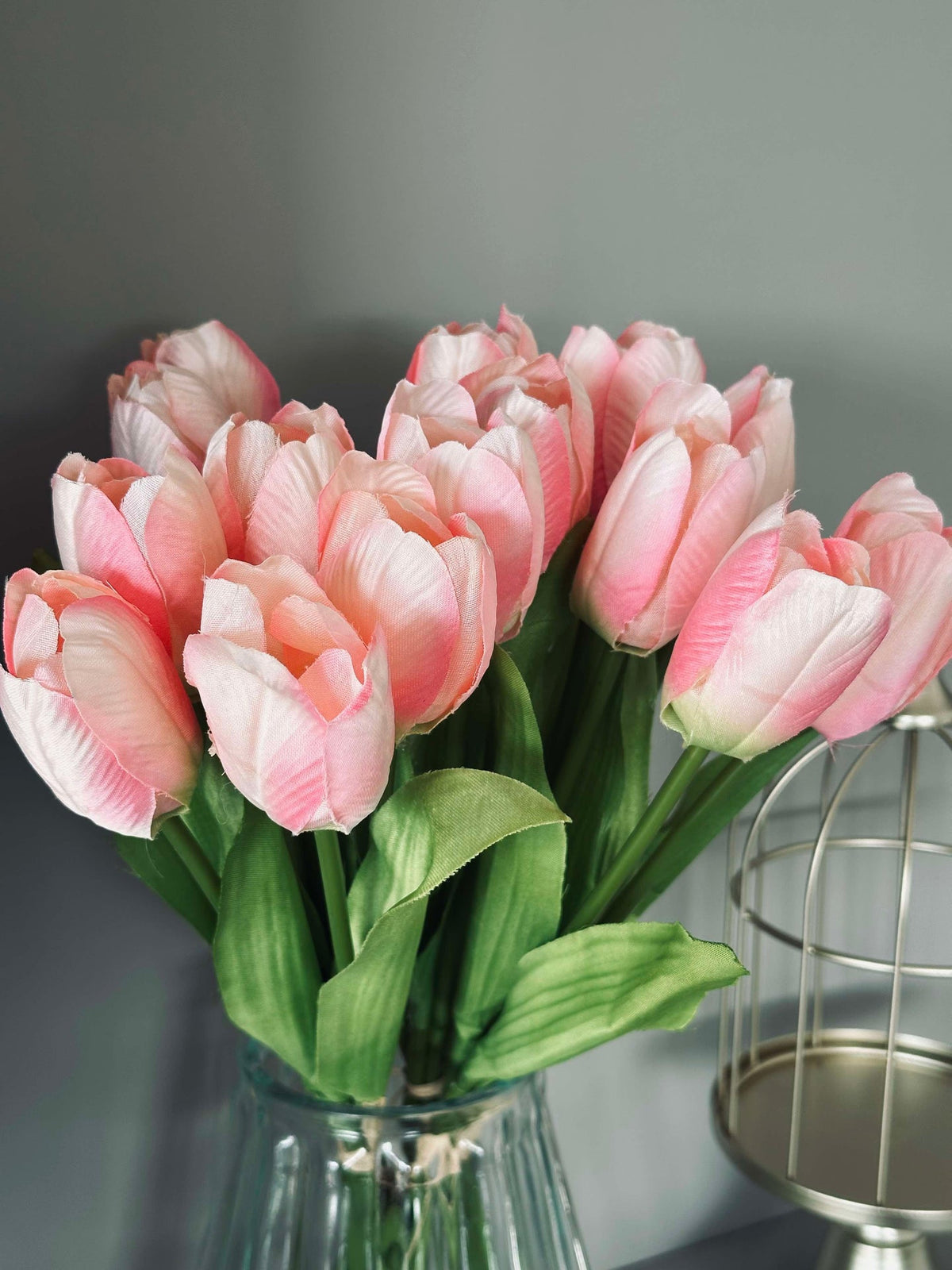 Tulipaner Rosa