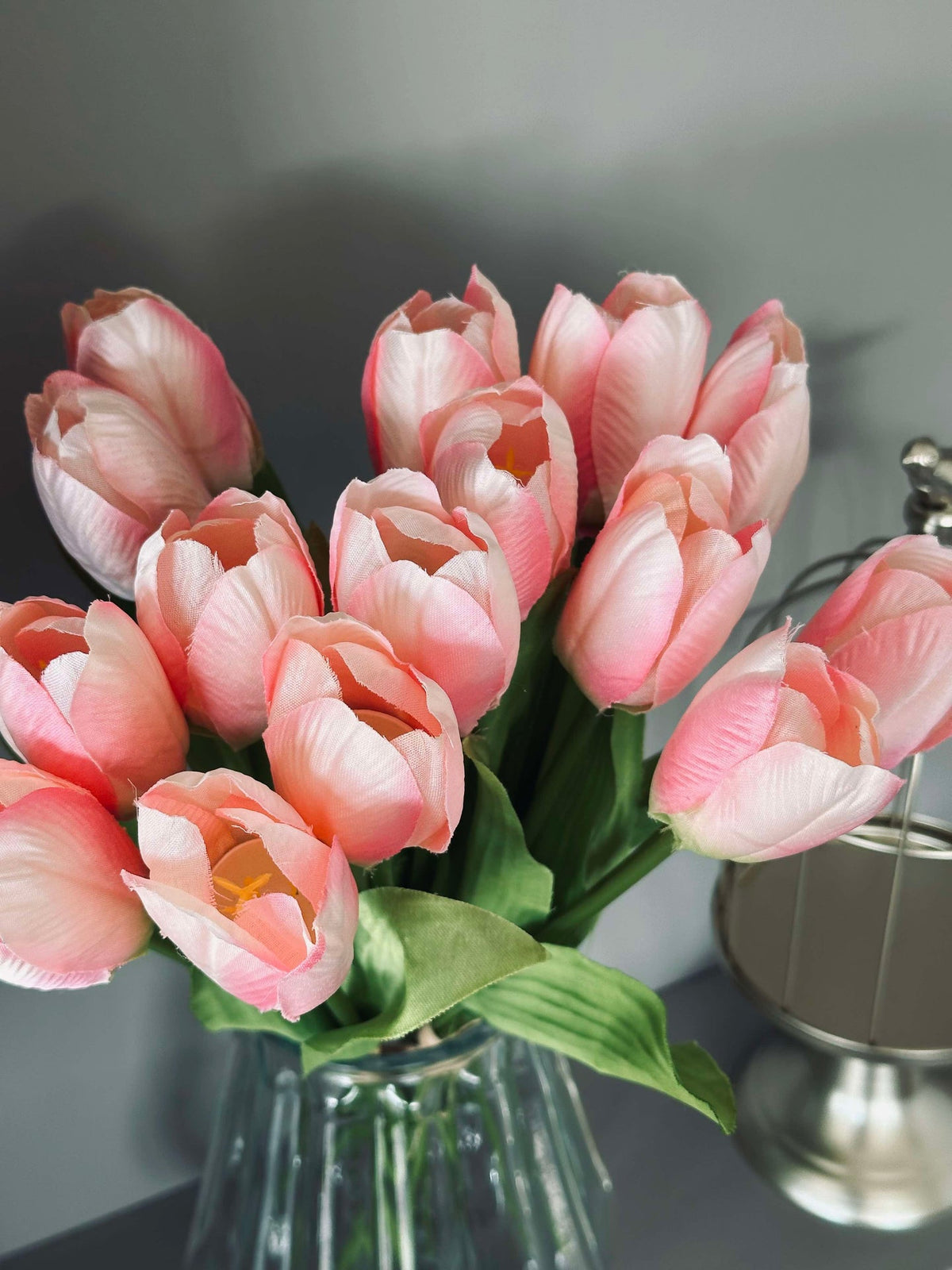 Tulipaner Rosa