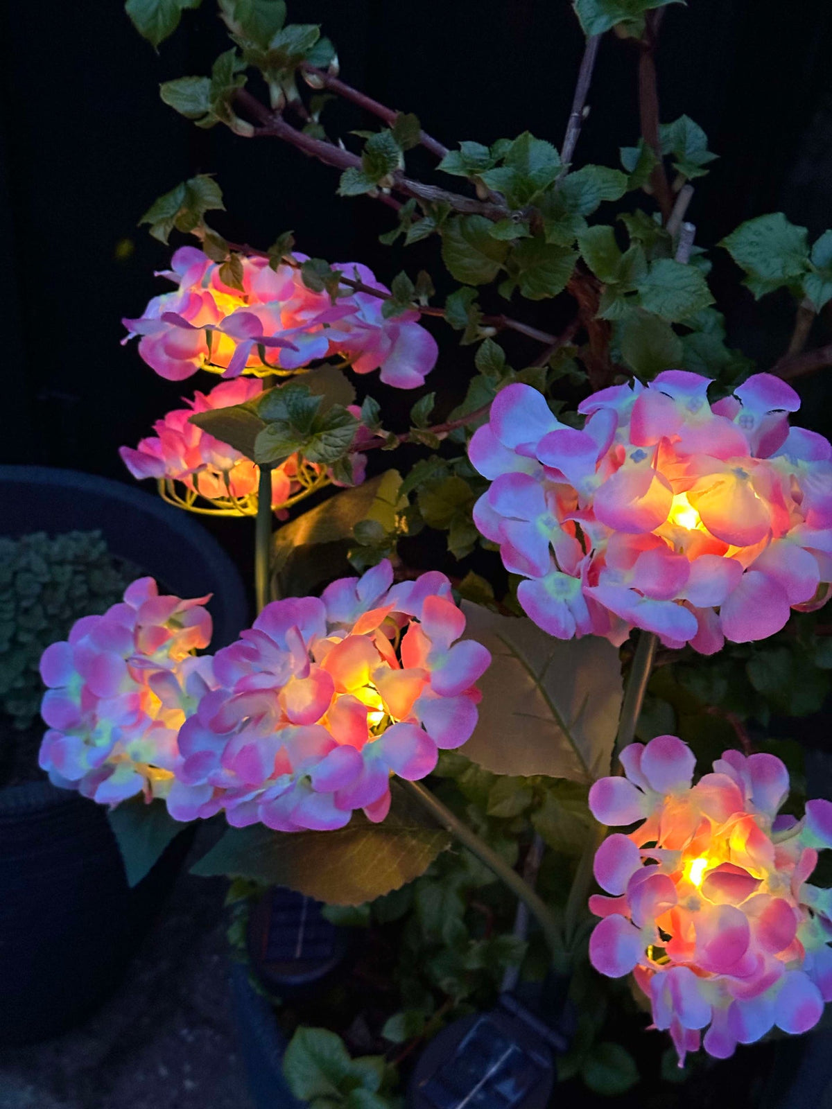 Hortensia med solceller – Lys rosa