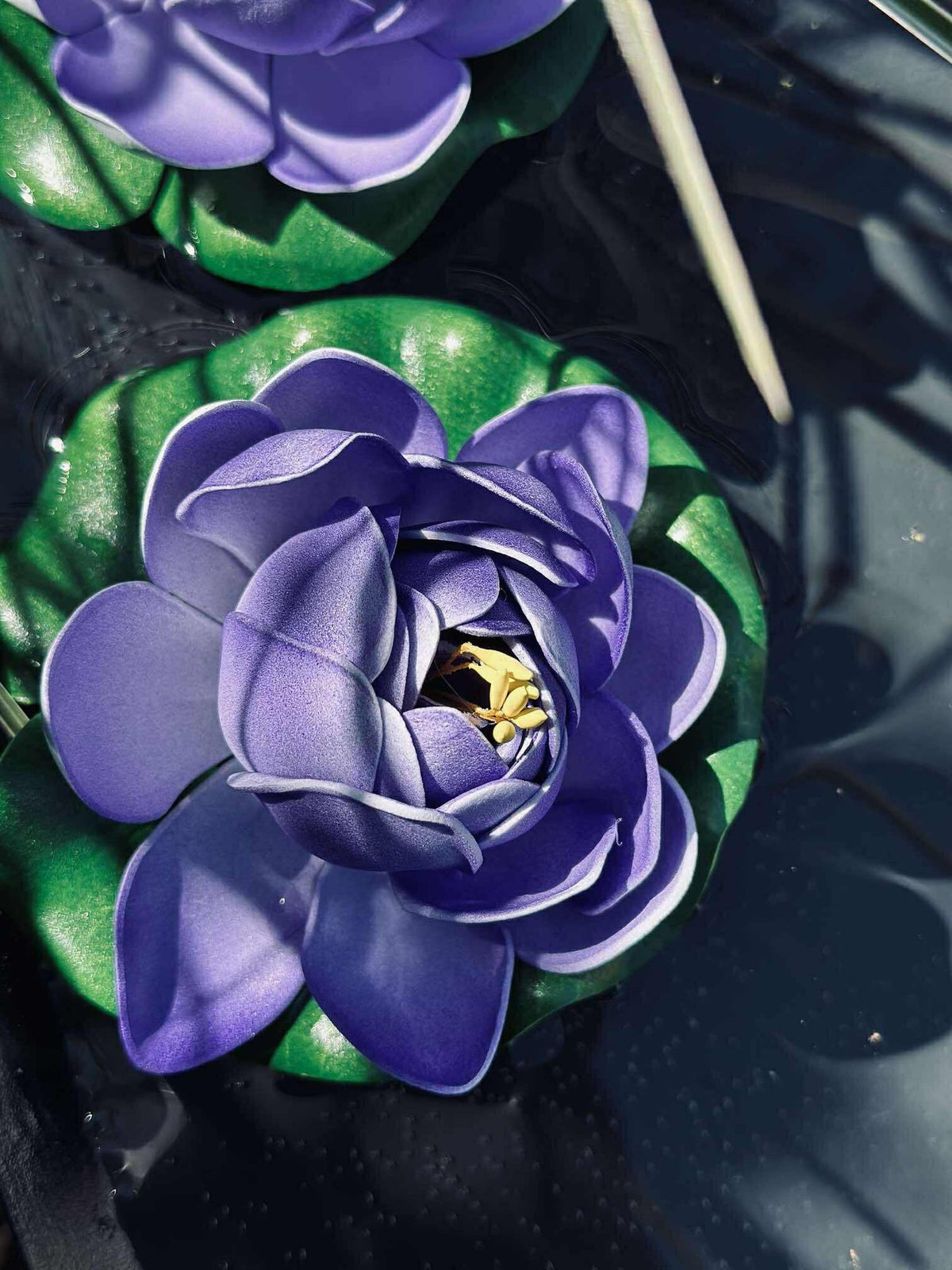 Lotus - Flere farger