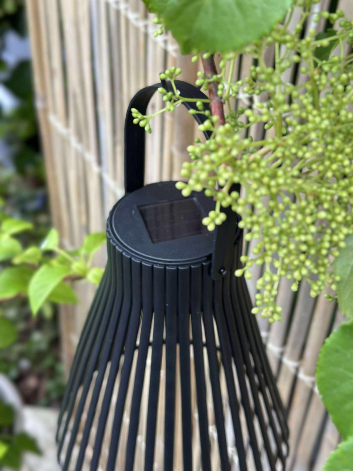 Lanterne med solceller - GARDEN BLACK 24cm