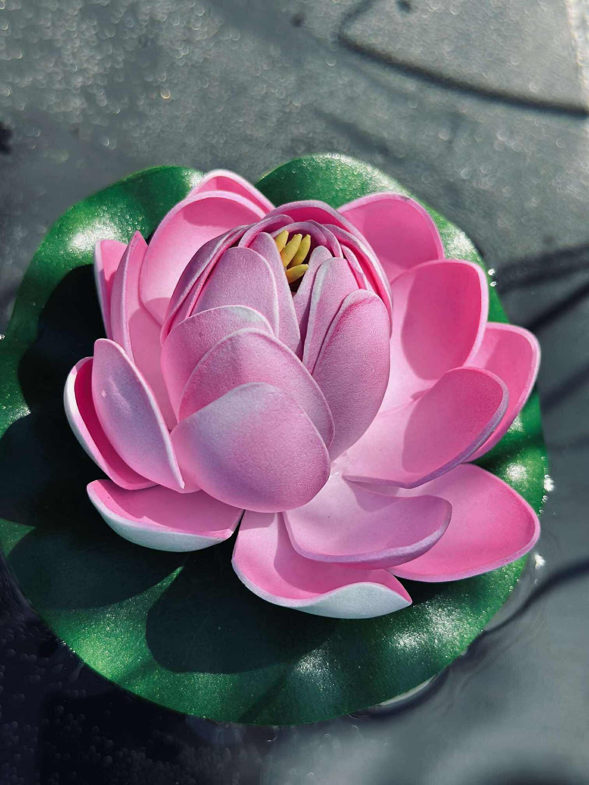 Lotus - Flere farger