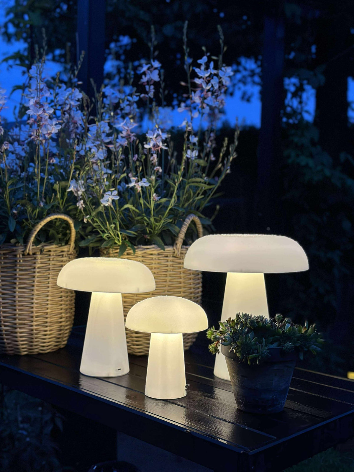 Mushroom oppladbar - Small