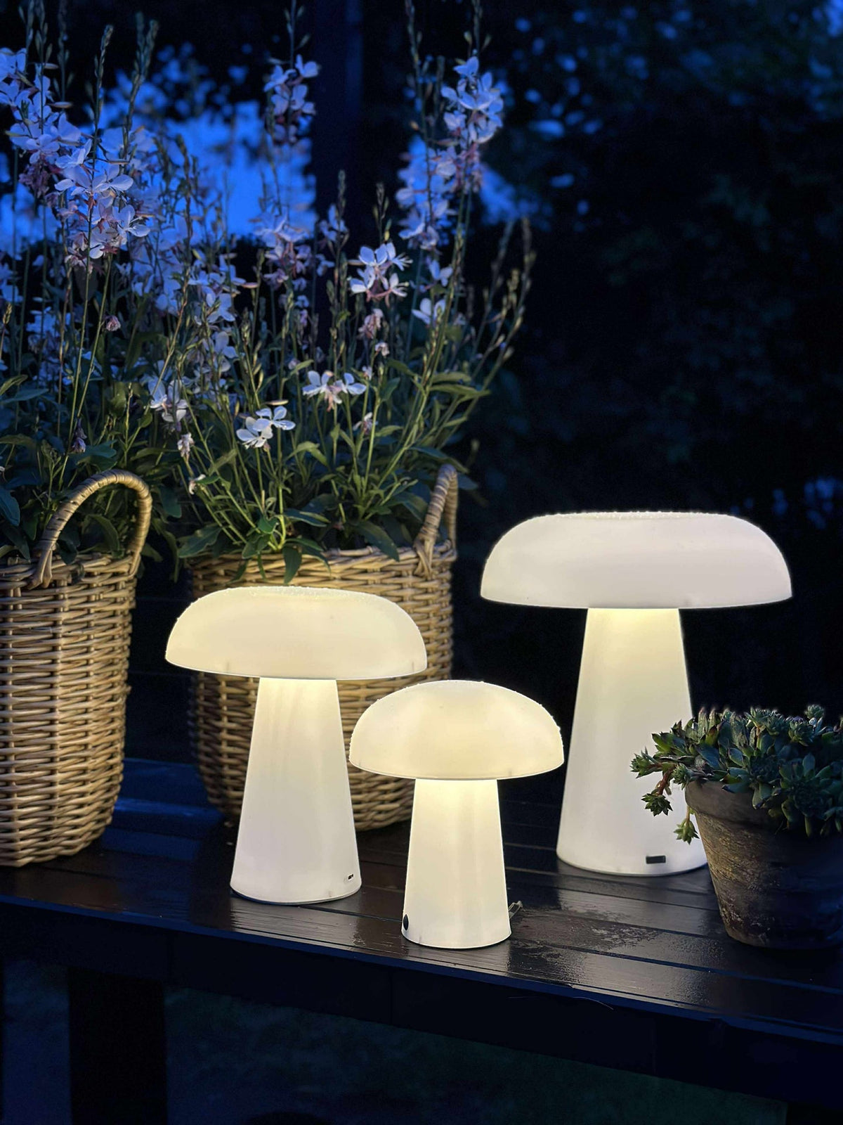 Mushroom oppladbar - Small