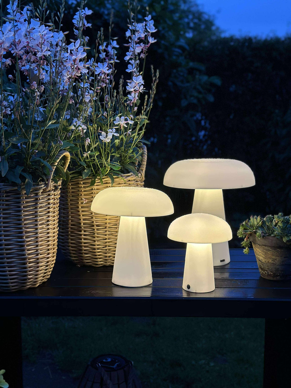 Mushroom oppladbar - Small