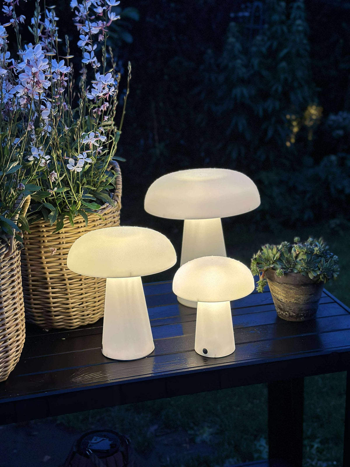 Mushroom oppladbar - Small