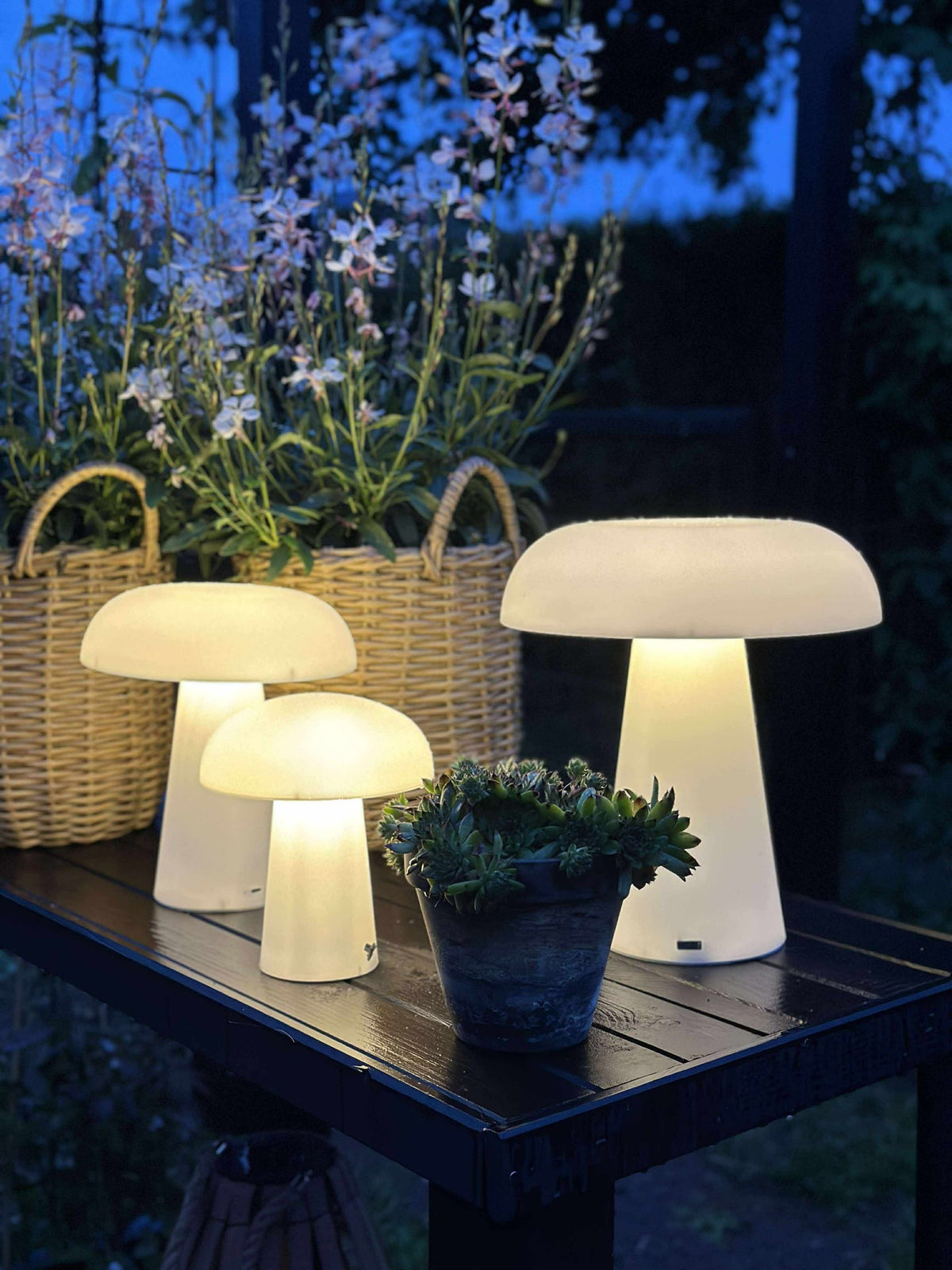 Mushroom oppladbar - Small