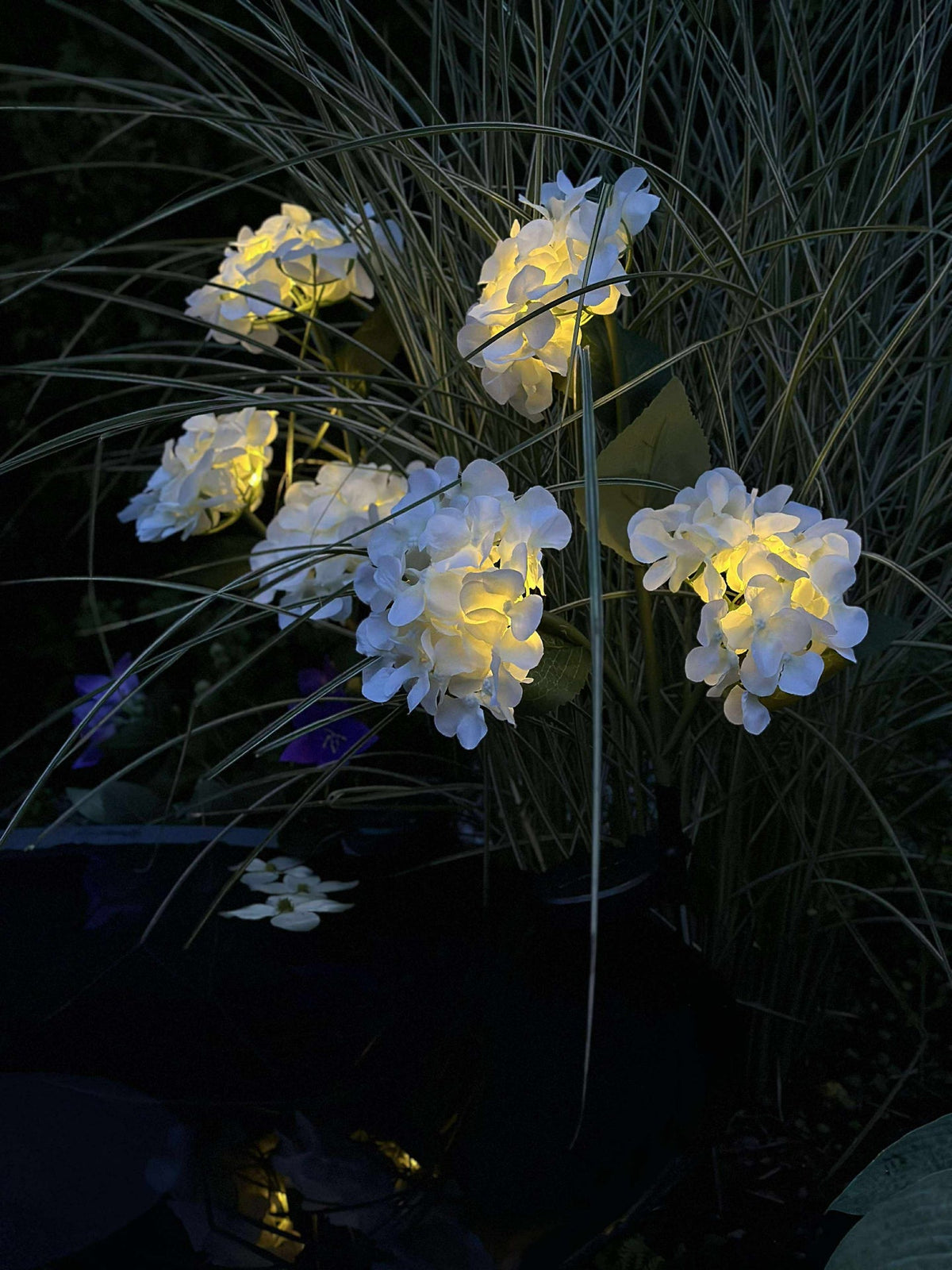 Hortensia med solceller - Hvit