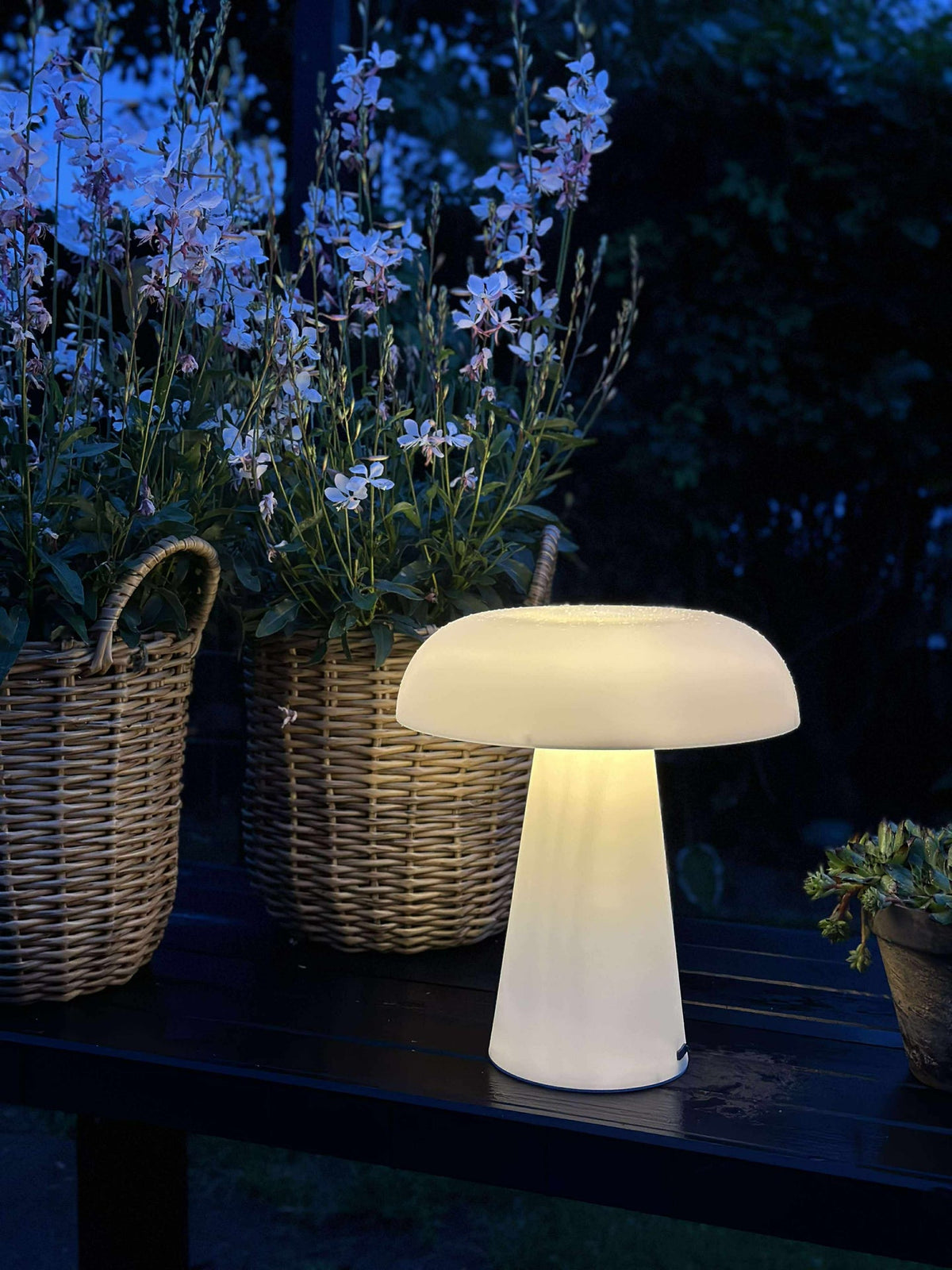 Mushroom oppladbar - Large