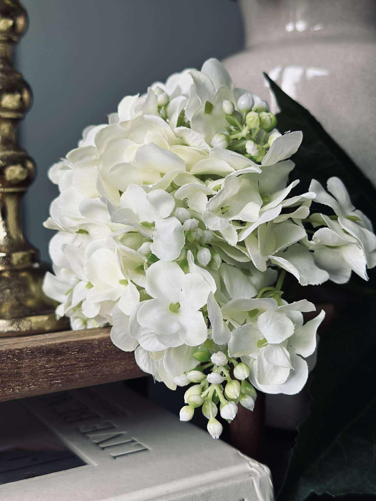 Hortensia Hvit