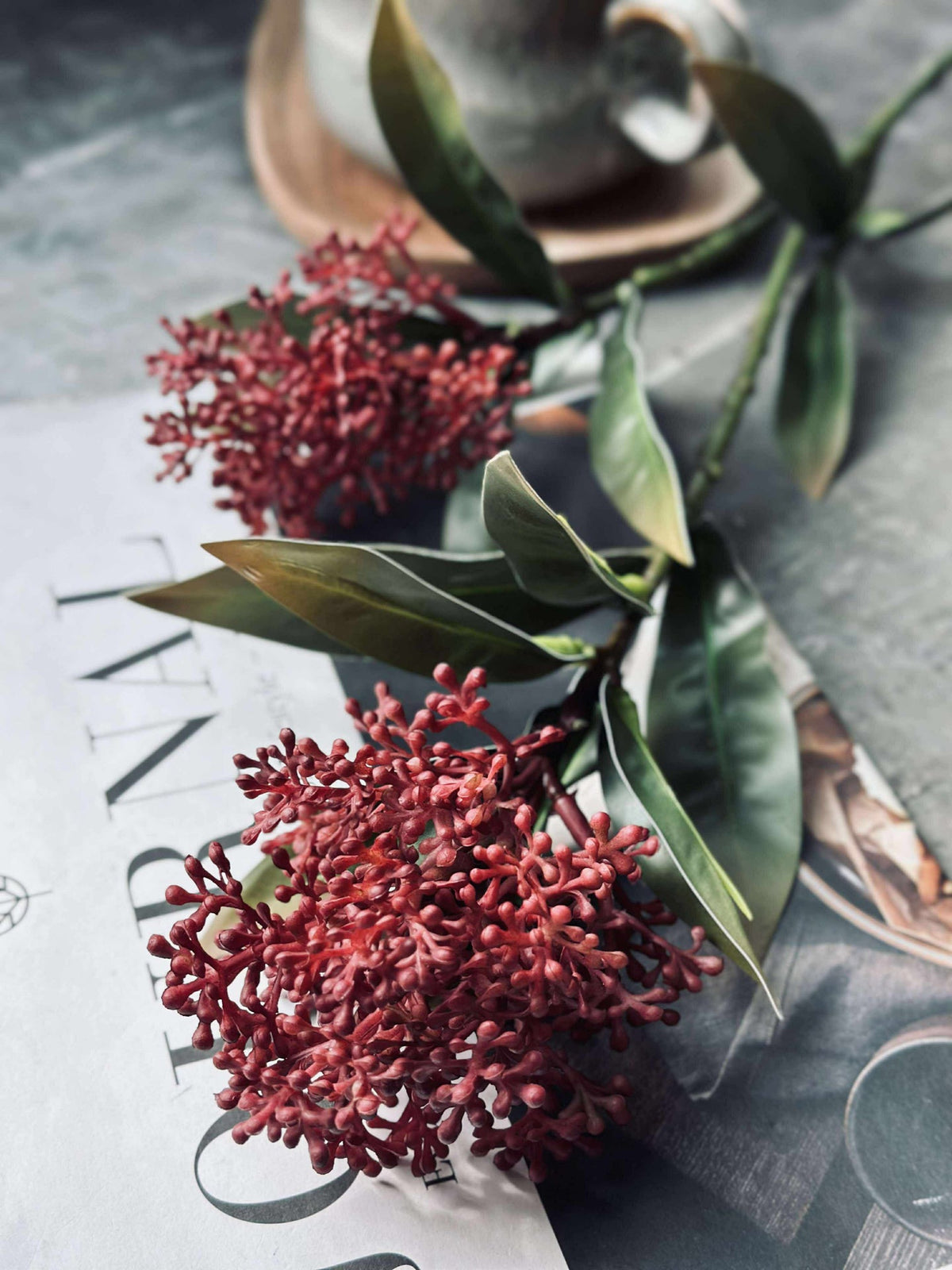 Blomsterstilk -skimmia MIX