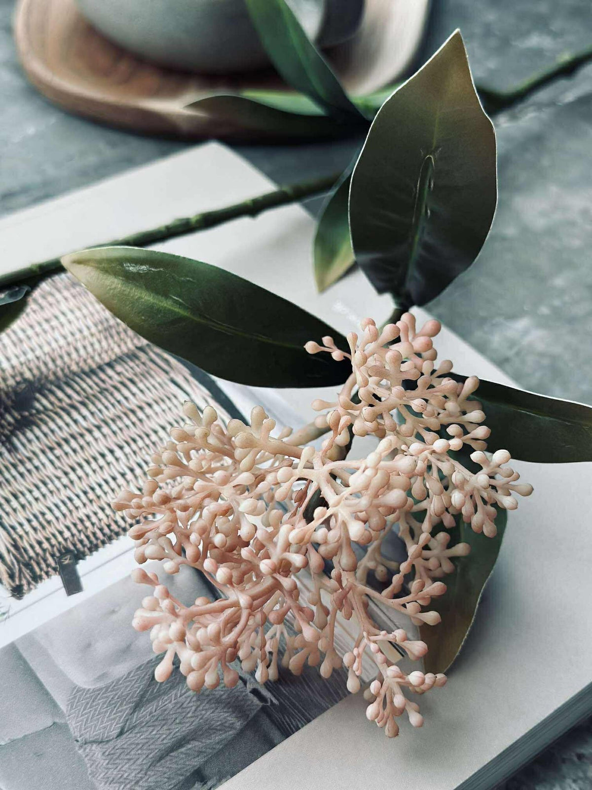 Blomsterstilk -skimmia MIX