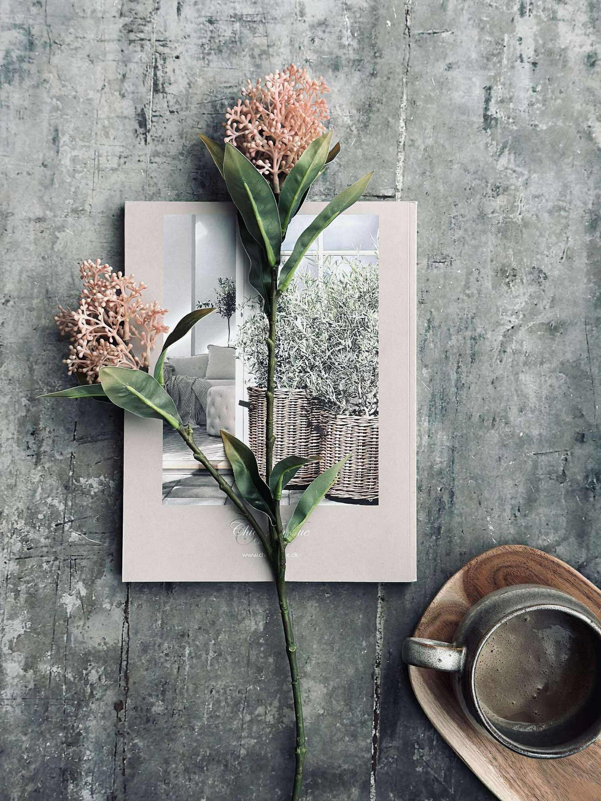 Blomsterstilk -skimmia MIX