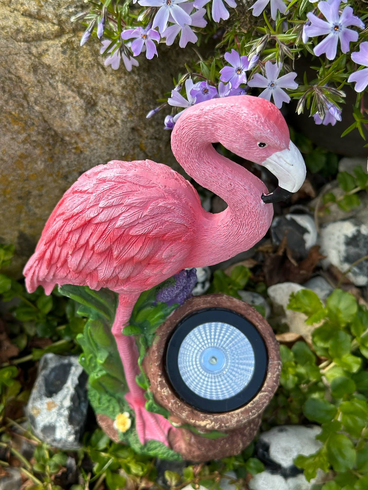 Flamingo med solar