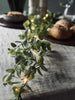 Lyskjede med grønne eucalyptus-blader