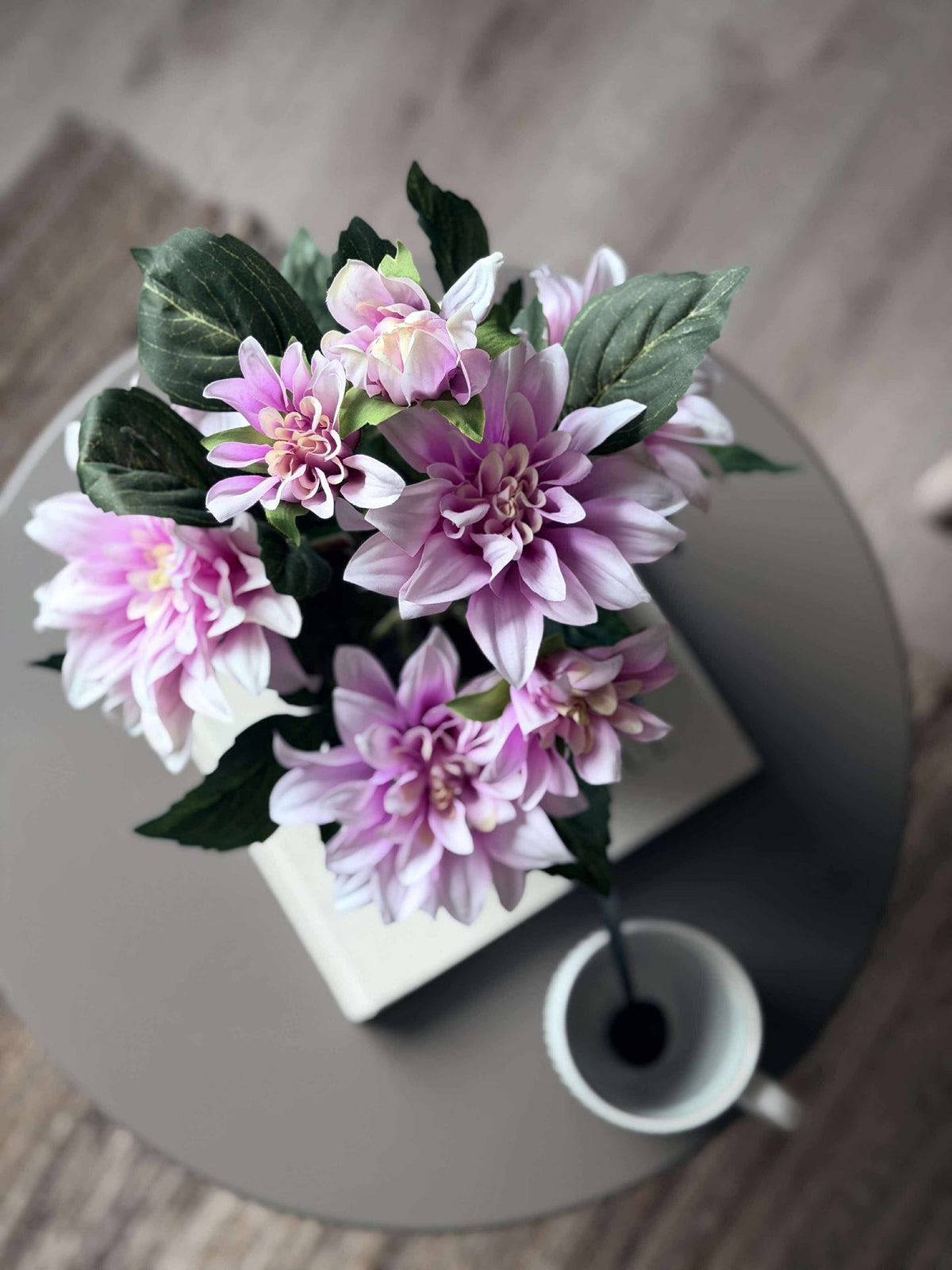 Dahlia i potte - Lyserosa