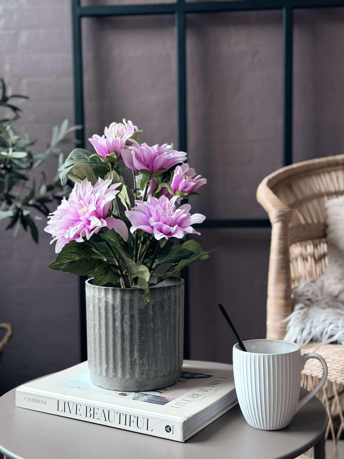 Dahlia i potte - Lyserosa