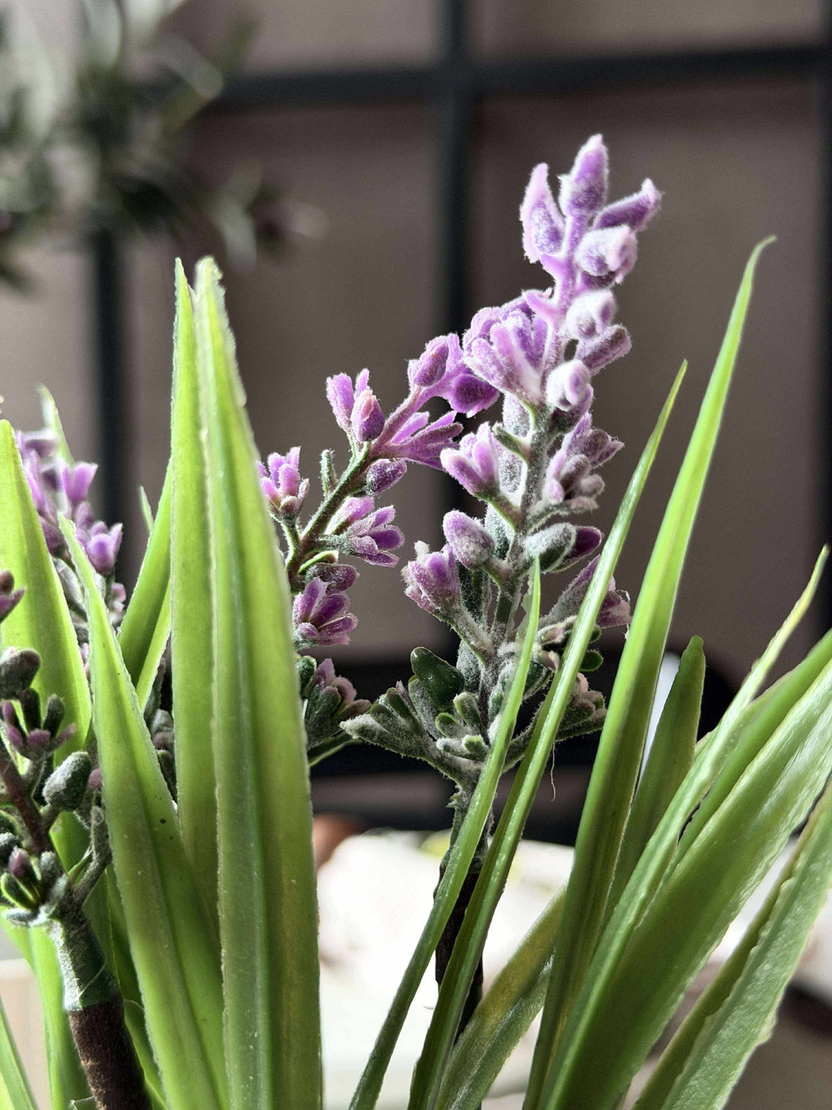 Lavendel mosekule