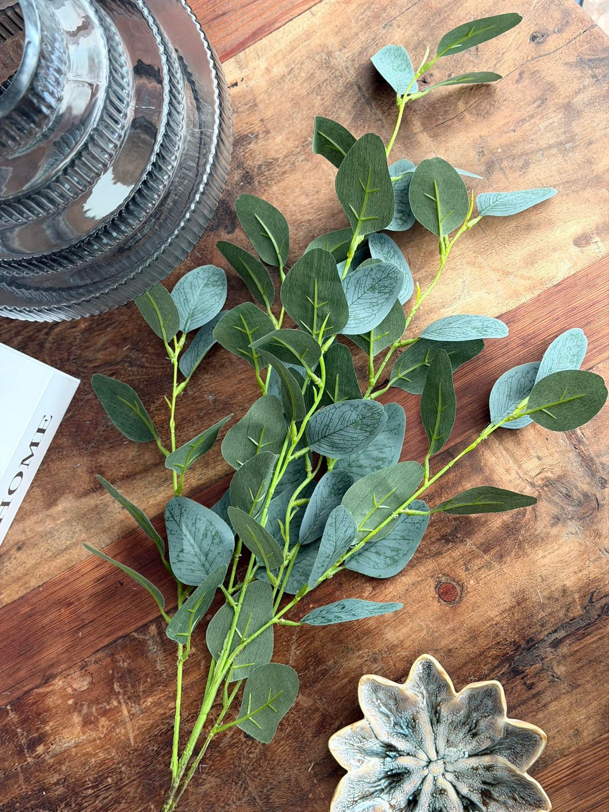 Eucalyptus gren - 100 cm