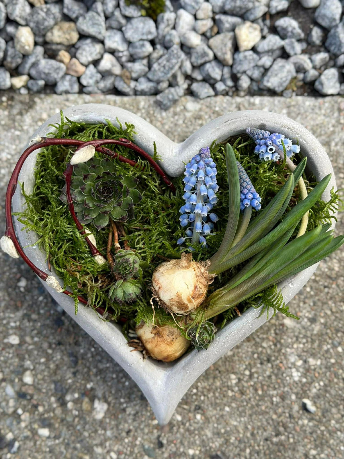 Hjerte til beplantning