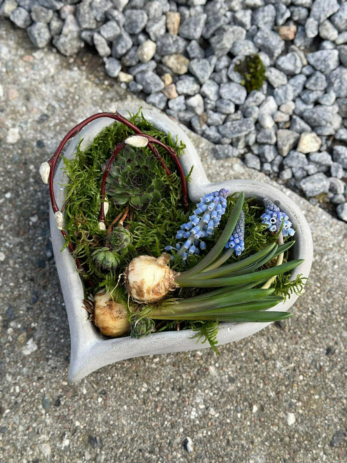 Hjerte til beplantning