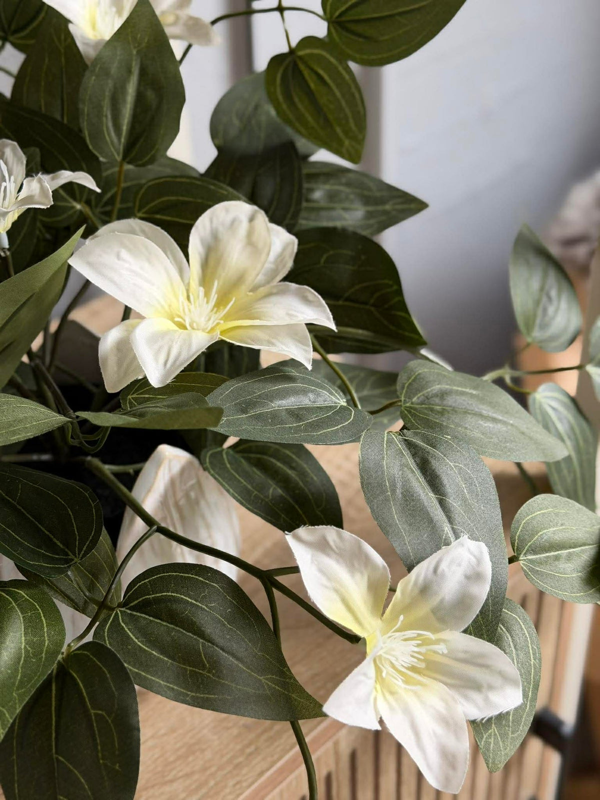 Hengende plante - flere farger