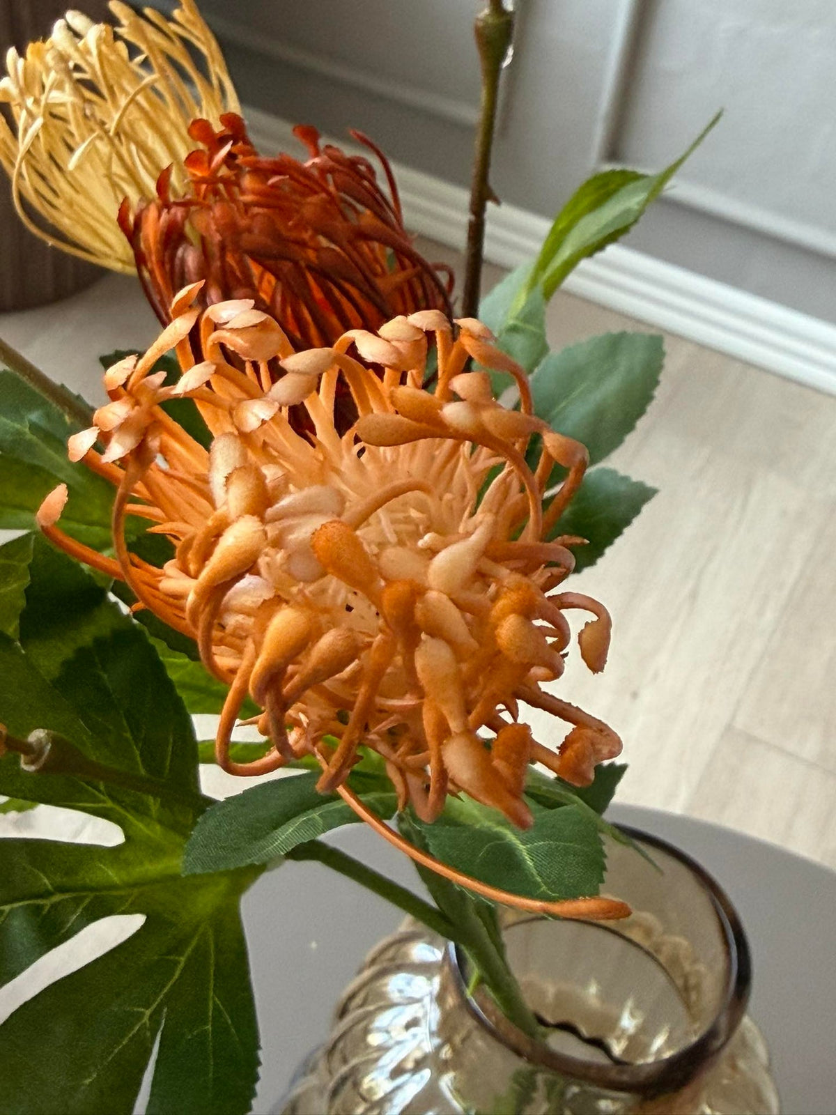 Blomstergren Krysantemum - Flere farger