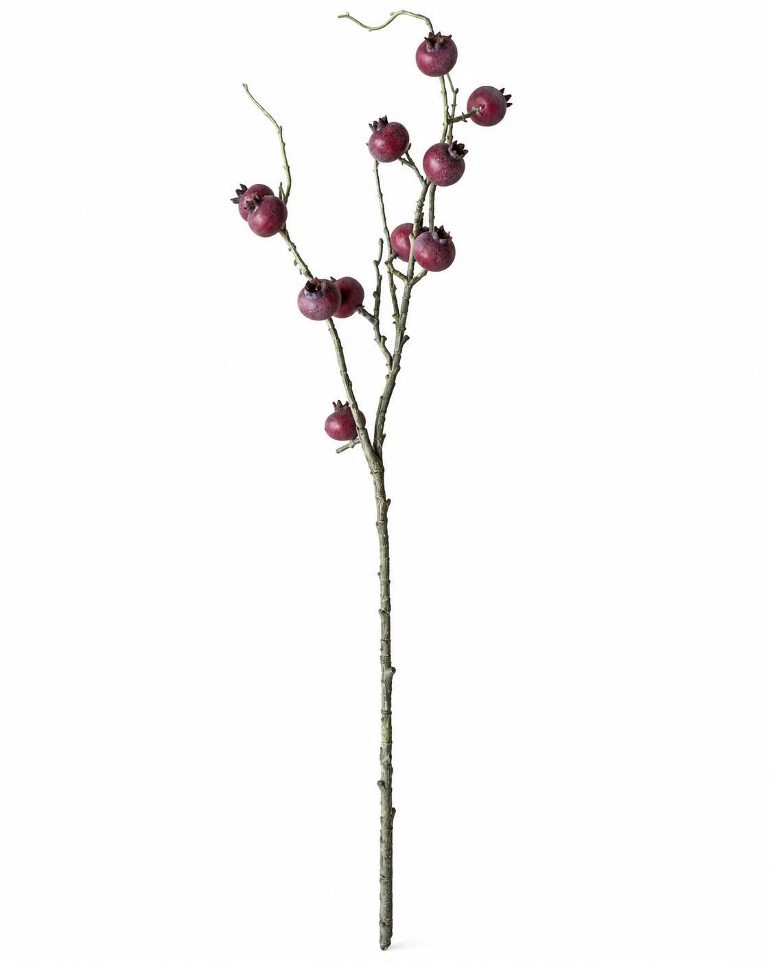 Nyperosegren 78 cm – Rosa