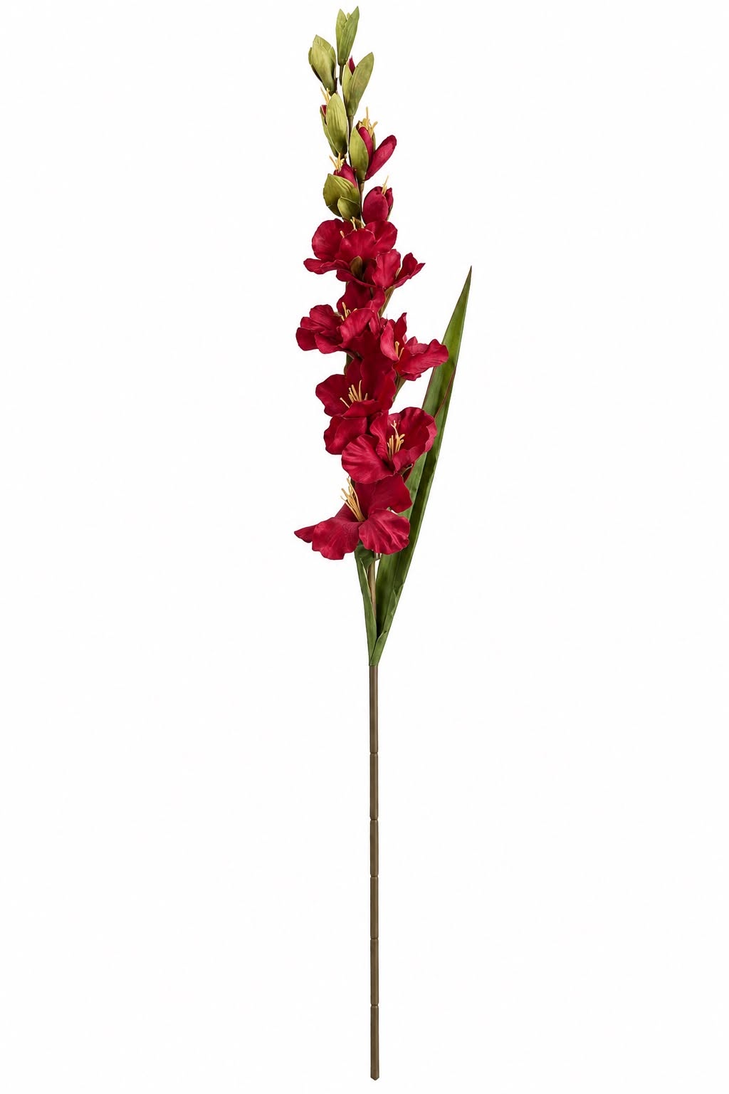 Gladiolus MIX – Kunstig blomst