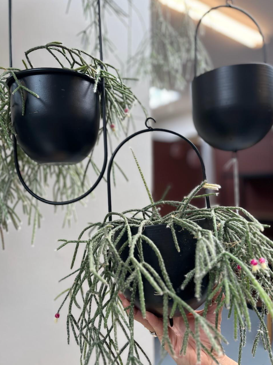 Potte med krok - Black
