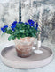 Bakke - Duset Rosa / Beton look - Stor - VIAMAJA.DK