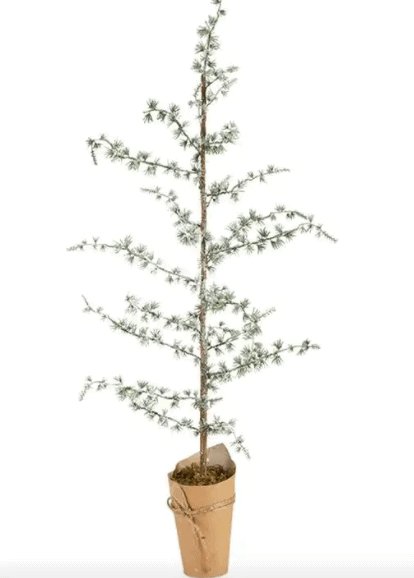 Cedertræ - 75cm - VIAMAJA.DK