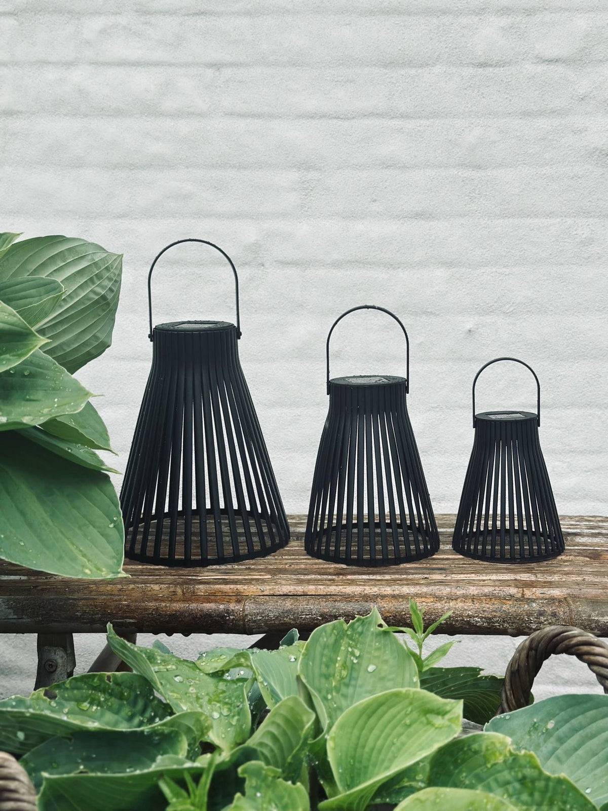 Lanterne med solceller - GARDEN BLACK 14cm