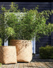 Kjempe Hagekrukke Natur / sement H80cm