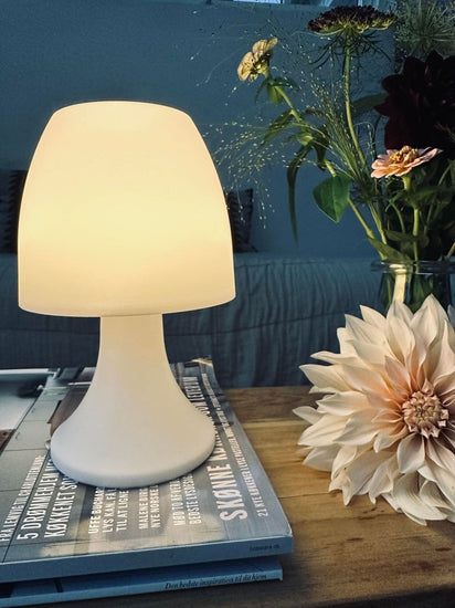 LED Bordlampe - VIAMAJA.DK
