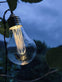 LED Lyskæde med solceller - Udendørs med 10 pære - VIAMAJA.DK