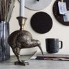 Lysestake kiwi