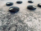 Magneter - Sort 6stk - VIAMAJA.DK
