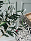 Oliventre 120 cm - VIAMAJA.DK