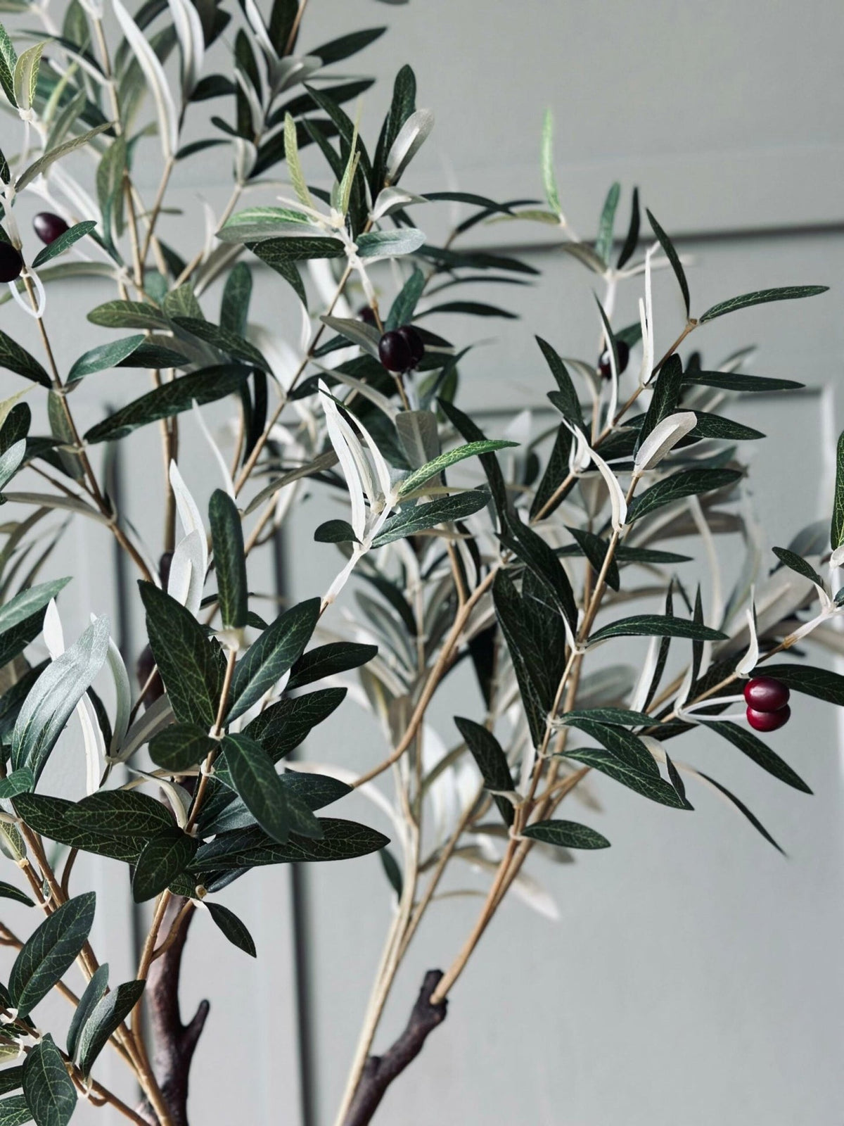 Oliventre 120 cm - VIAMAJA.DK
