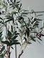 Oliventre 120 cm - VIAMAJA.DK