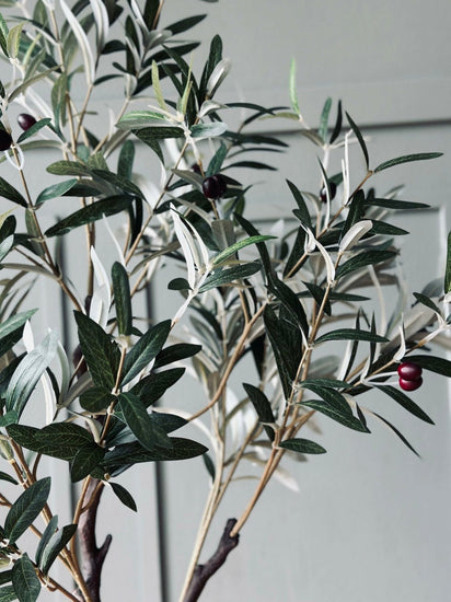 Oliventre 120 cm - VIAMAJA.DK
