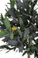 Oliventræ 120cm - VIAMAJA.DK