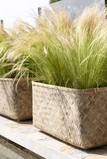 Plantekasse Natur / cement - VIAMAJA.DK